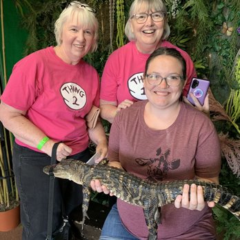 Gator Beach - Some family holding an alligator - Amusement Parks Near Me - Destin, Florida Gator Beach - Some family holding an alligator - Amusement Parks Near Me - Destin, Florida