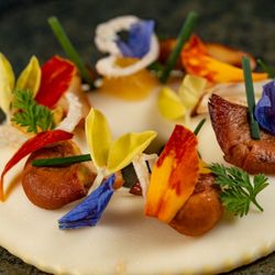 Reserve - Mushroom Donut Ravioli