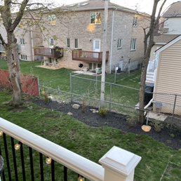 Area between trees that was cleared and grubbed, along with two tree removals and vine removals. Area between trees that was cleared and grubbed, along with two tree removals and vine removals.