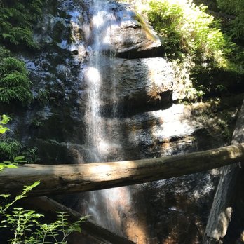 Big Basin Redwoods State Park - Parks Near Me - Boulder Creek, California