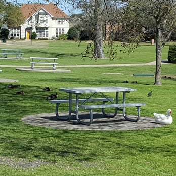 Bethany Lakes Park - Picnic tables in the shade and locks of ducks and geese - Parks Near Me - Allen, Texas