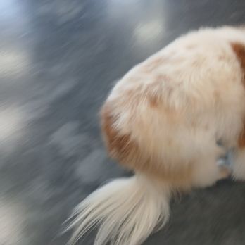 Pet Evolution - Pet Stores Near Me - Richmond, Texas