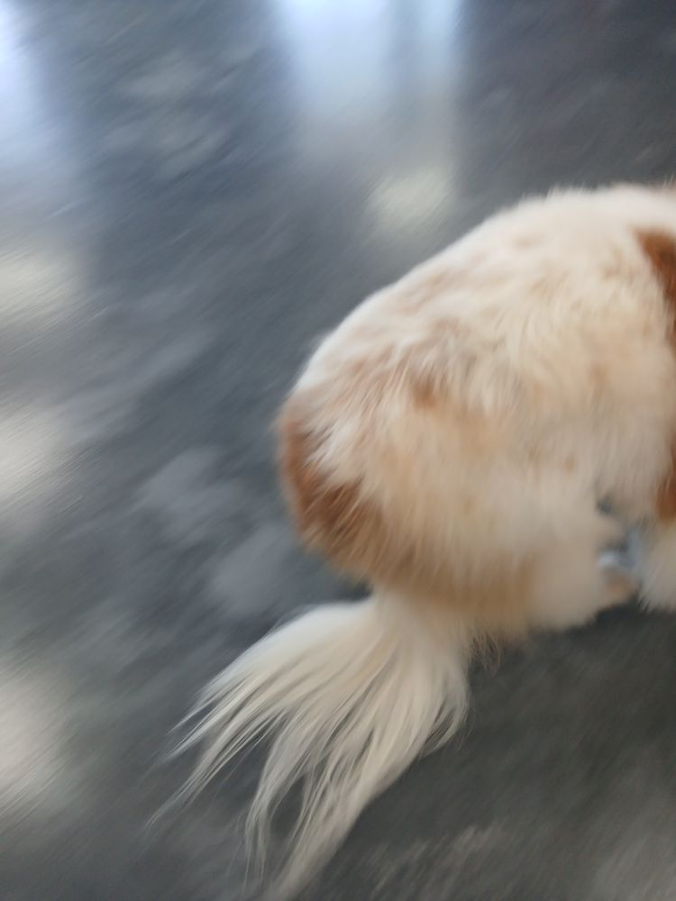 Pet Evolution - Pet Stores Near Me - Richmond, Texas Pet Evolution - Pet Stores Near Me - Richmond, Texas