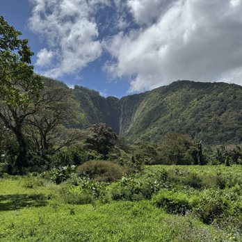 Waipio Valley Shuttle - Tours Near Me - Honokaa, Hawaii