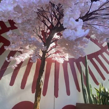 Pradera Brunch - Outdoor - Breakfast & Brunch Near Me - Costa Mesa, California Pradera Brunch - Outdoor - Breakfast & Brunch Near Me - Costa Mesa, California