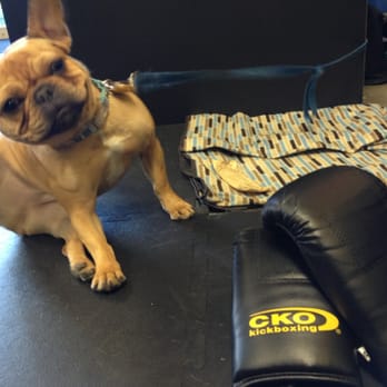 CKO Kickboxing Clinton Hill - Ollie from dc optics pays a visit to CKO Clinton Hill. - Gyms Near Me - Brooklyn, New York CKO Kickboxing Clinton Hill - Ollie from dc optics pays a visit to CKO Clinton Hill. - Gyms Near Me - Brooklyn, New York