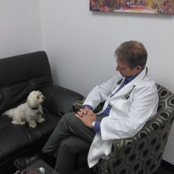 Glenn Matney, MD - Matney Pediatrics - I understand you have a problem with barking...
