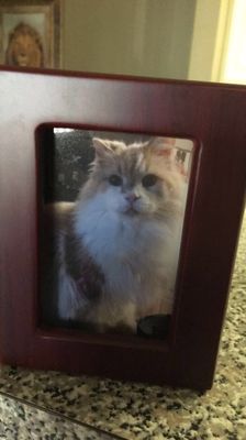 oakcrest pet cemetery