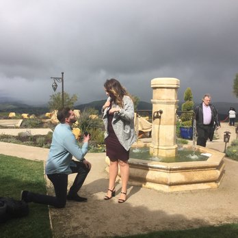 DAOU Vineyards - Got engaged at daou and it was an amazing experience. - Wineries Near Me - Paso Robles, California