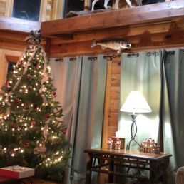 a christmas tree in the living room