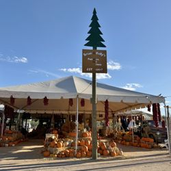 Brian & Kelly's Pumpkins, Trees & Farmer's Market