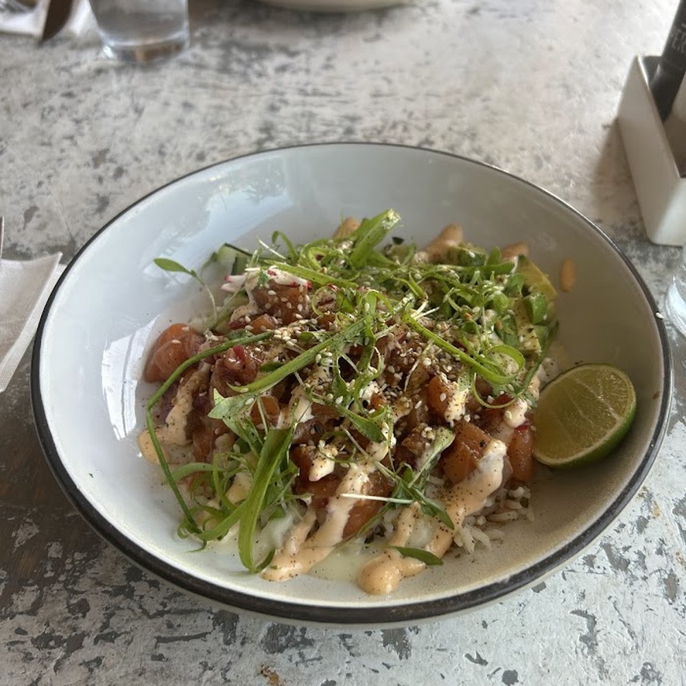 Dish Society - Salmon Poke Bowl - New American Near Me - Houston, Texas