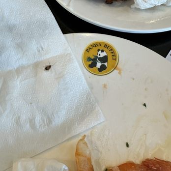 Golden Panda Buffet - Cockroach came out as we were eating - Buffets Near Me - Baldwin Park, California