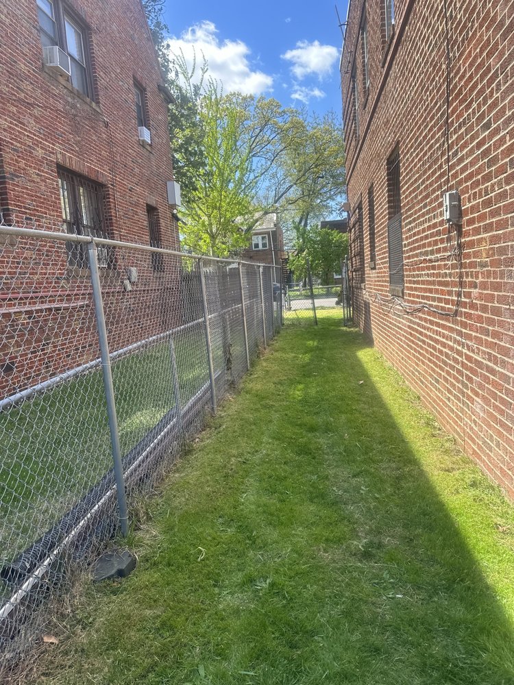 Kyle landscaping - tree service in Washington, DC, DC