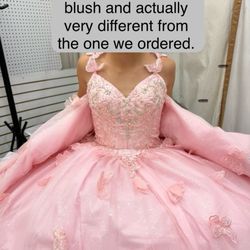 Bridal & Quinceaneras - The dress we had to settle for.