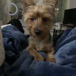 After his grooming After his grooming