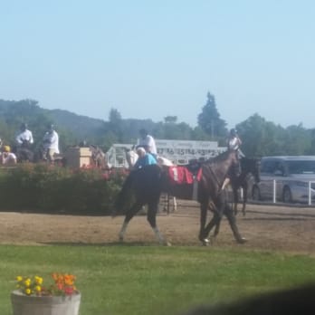 Sonoma County Fairgrounds-Santa Rosa - #1 horse, the bay Canada walking in the paddock before the Robert Dupret Derby - Venues & Event Spaces Near Me - Santa Rosa, California