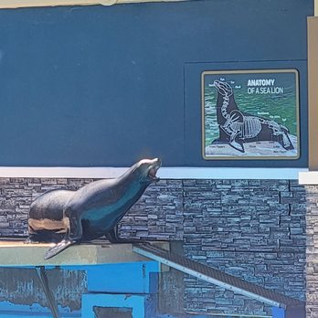 Otter Outlook - Amusement Parks Near Me - San Diego, California Otter Outlook - Amusement Parks Near Me - San Diego, California