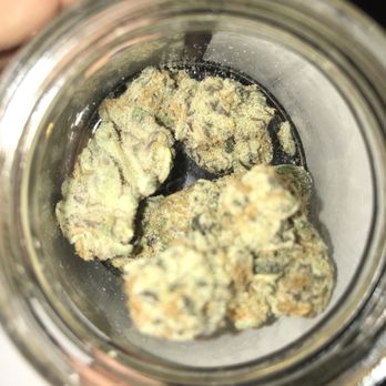 GREENWOLF LA - Purple punch - Cannabis Dispensaries Near Me - Los Angeles, California GREENWOLF LA - Purple punch - Cannabis Dispensaries Near Me - Los Angeles, California