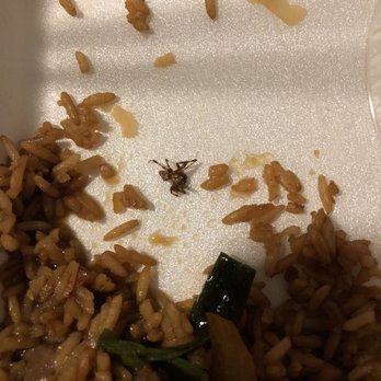 Pan Asia Restaurant - Cantonese Near Me - Nashua, New Hampshire Pan Asia Restaurant - Cantonese Near Me - Nashua, New Hampshire