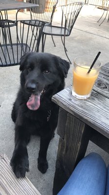 Underdogs Pub by null
