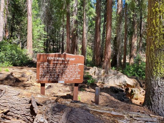 Kings Canyon National Park by null