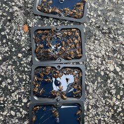 Jiles Pest Control - Stick trap to monitor cockroaches.