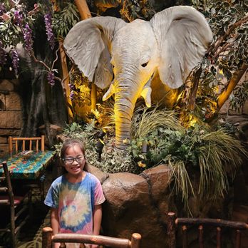 Rainforest Cafe - Daughter with elephant - American Near Me - San Antonio, Texas Rainforest Cafe - Daughter with elephant - American Near Me - San Antonio, Texas