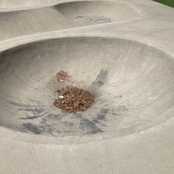 Beyer Park - Beyer Park Skate Park