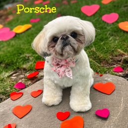 She's a little princess. Loved her spa day with Desiree! She's a little princess. Loved her spa day with Desiree!