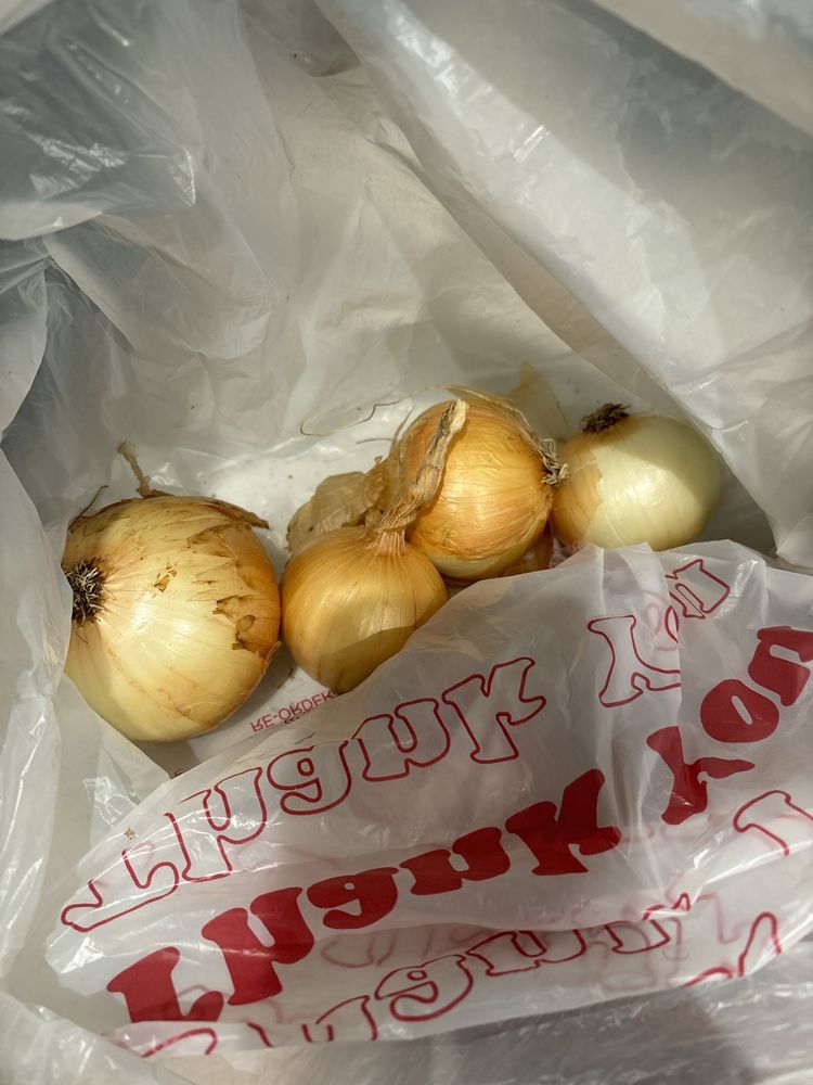 Berry Good Farms Logo