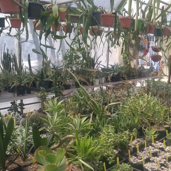 Poot's Cactus Nursery - Nurseries & Gardening Near Me - Ripon, California