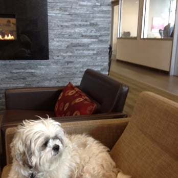 Capitol Toyota - pet-friendly waiting area -- passing employees had treats in their pockets.... - Car Dealers Near Me - Salem, Oregon