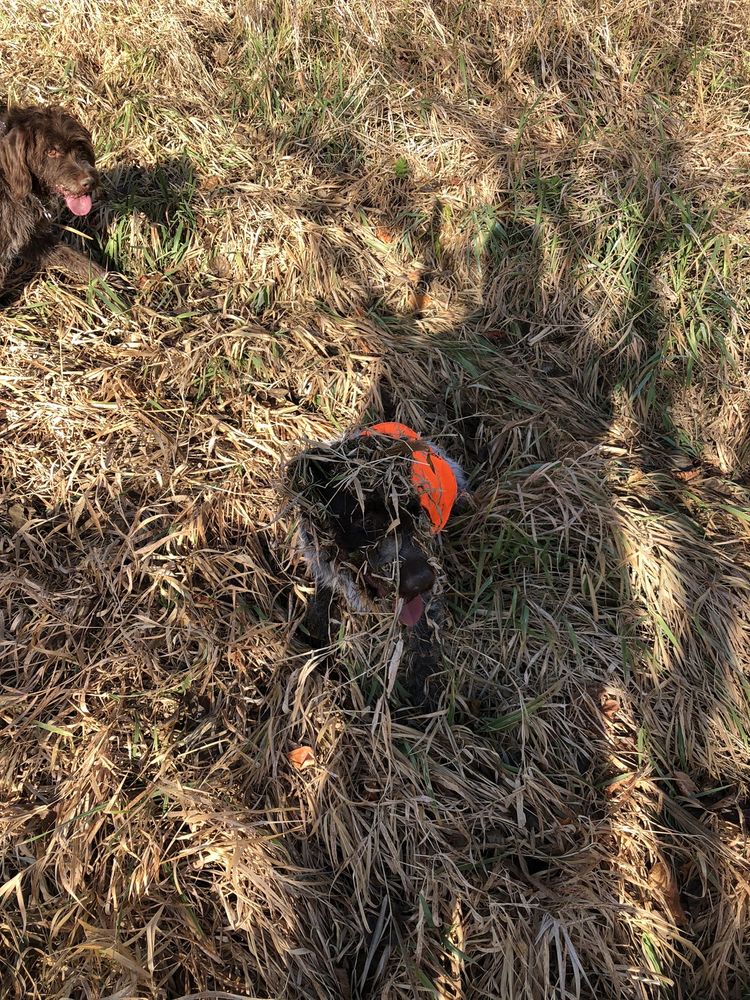 FETCH PET CENTERS Updated October 2024 1991 O'Donnell Rd