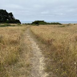 Pebble Beach