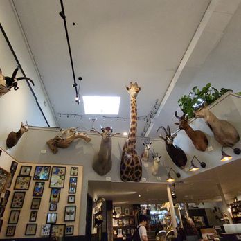 Paxton Gate - Jewelry Near Me - Portland, Oregon