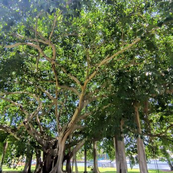 Tequesta Park - Parks Near Me - Fort Lauderdale, Florida Tequesta Park - Parks Near Me - Fort Lauderdale, Florida