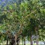 Photo of Tequesta Park