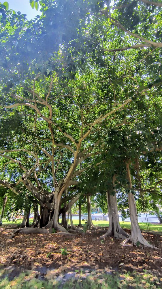 Tequesta Park Image