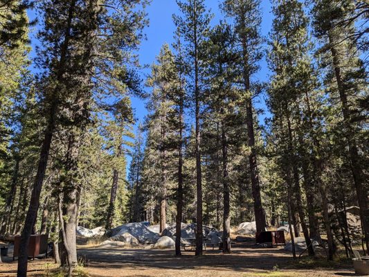 Porcupine Flat Campground by null