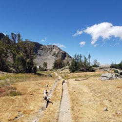 Mokelumne Wilderness - Carson pass management area