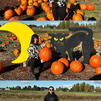 Carpinito Brothers Pumpkin Patch - Farmers Market Near Me - Kent, Washington