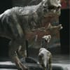 Walking with Dinosaurs: The Arena Experience gift card
