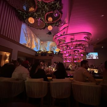 PALM TREE CLUB - Updated February 2026 - 140 Photos & 40 Reviews - 14 E