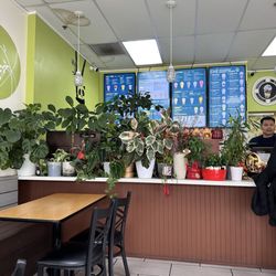 Love the plants they have.