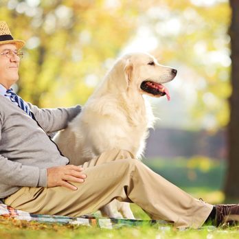 Family Dog Training - Family Dog Training - Pet Training Near Me - Marietta, Georgia Family Dog Training - Family Dog Training - Pet Training Near Me - Marietta, Georgia