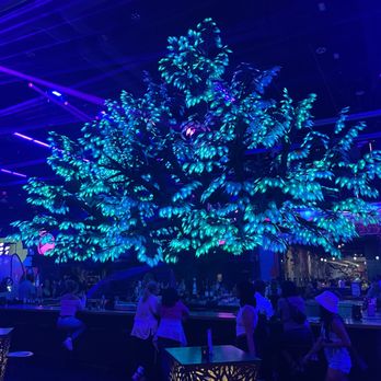 AREA15 - Venues & Event Spaces Near Me - Las Vegas, Nevada AREA15 - Venues & Event Spaces Near Me - Las Vegas, Nevada