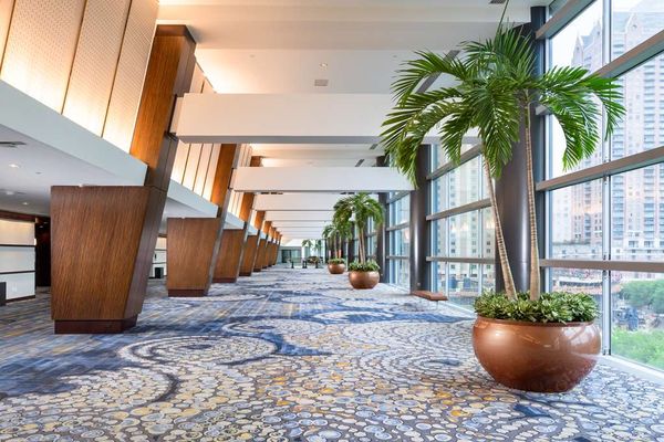 Hilton Americas-Houston by null