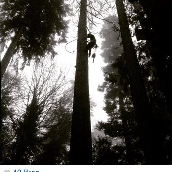 Dawkins Tree Care - Tree Services Near Me Dawkins Tree Care - Tree Services Near Me