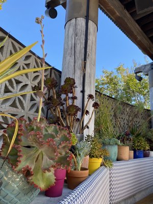 Flores Corte Madera by null